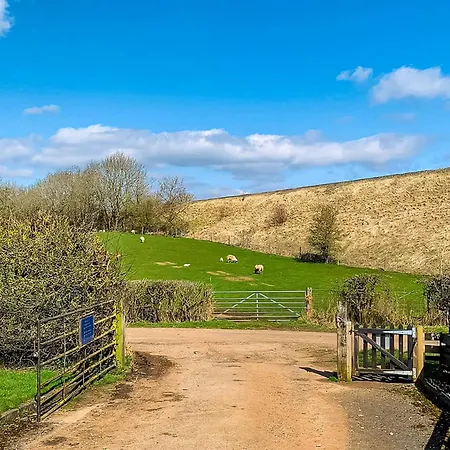 Wild Rose Holiday Park
