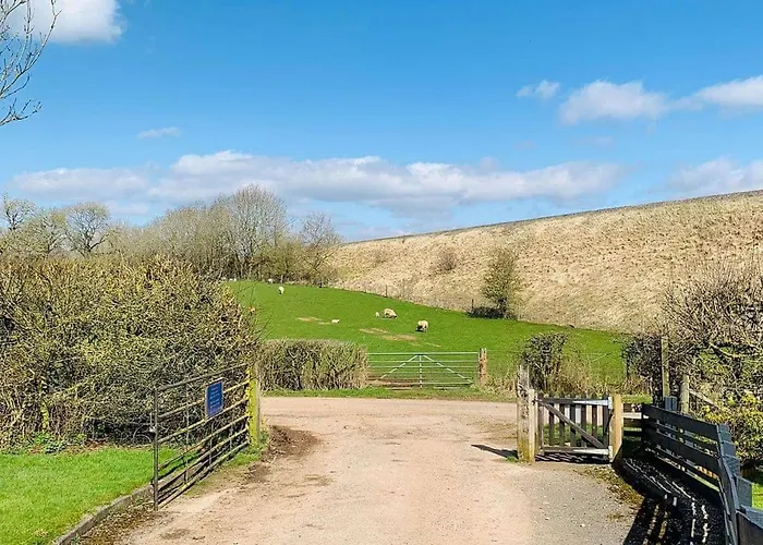 Wild Rose Feriepark 2*