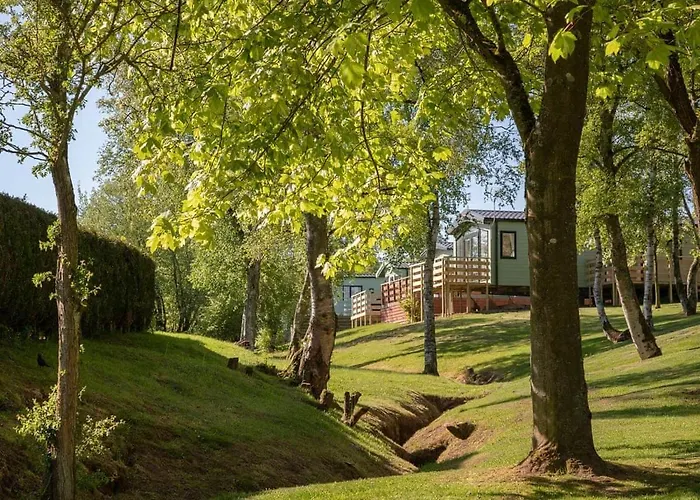 Wild Rose Colby (Cumbria)